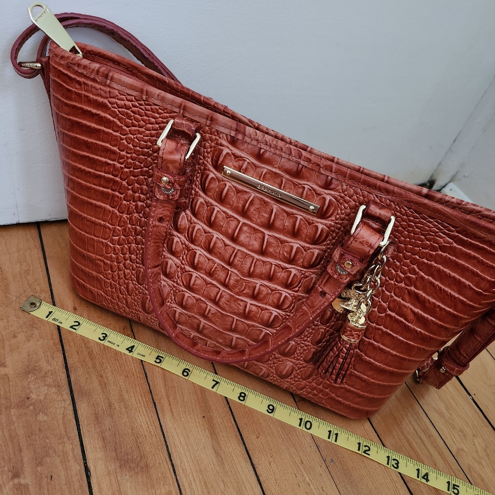 Brahmin mini asher - Picture 8 of 9